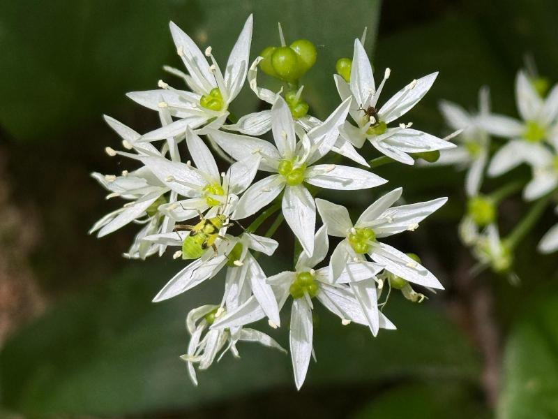 WhatsApp-Bild-2024-05-12-um-13.44.37_2add56dc