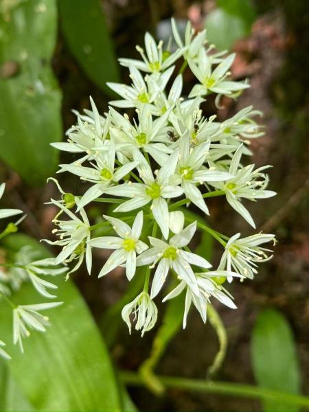 WhatsApp-Bild-2024-05-12-um-13.44.37_bac802aa