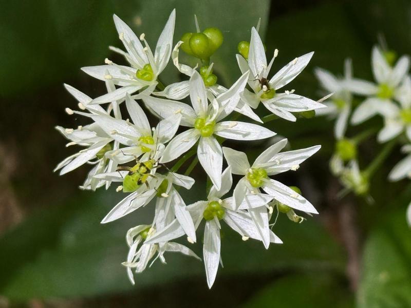 WhatsApp-Bild-2024-05-12-um-13.44.39_6725a55e