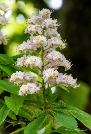 1_A7302103_bearbeitet