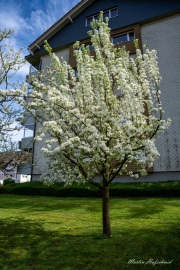 A7305320-Enhanced-NR