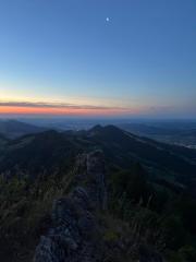 WhatsApp-Bild-2025-07-28-um-21.54.08_f6c14e53