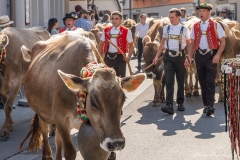 A7308765-Enhanced-NR A7308765-Enhanced-NR