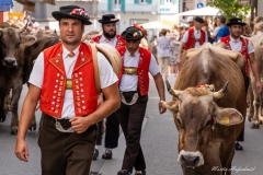 A7308786-2 A7308786-2