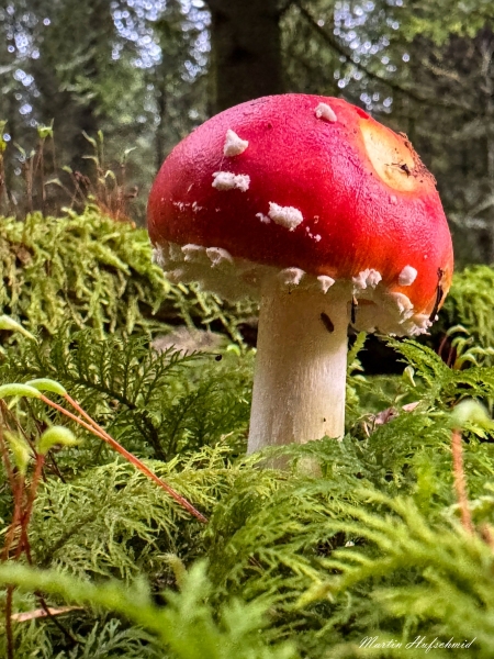 WhatsApp-Bild-2024-10-05-um-10.54.19_874b9807