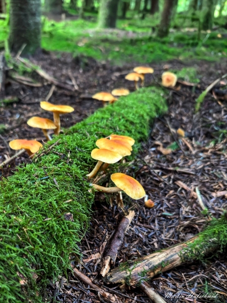 WhatsApp-Bild-2024-10-05-um-10.55.26_ffbad7e2